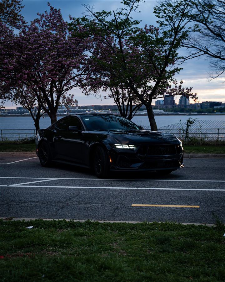 ShotBySM on Instagram — Mustang GT, cherry blossoms